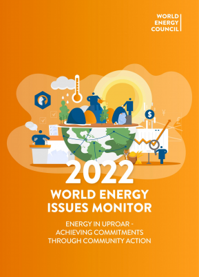 New Zealand Energy Issues Monitor 2022